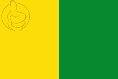 Bandera Yunclillos