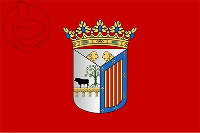 Bandera Salamanca