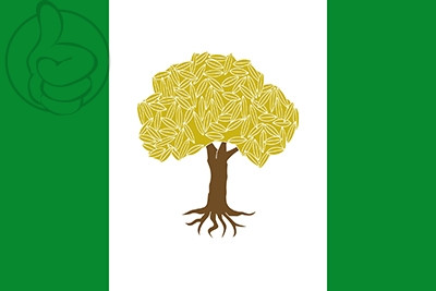 Bandera Olivares de Júcar