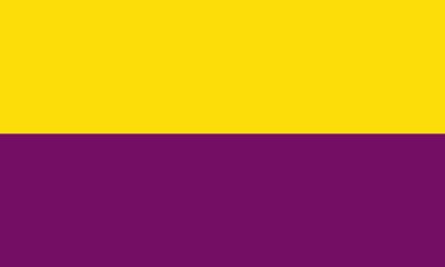 Bandera Torrejón de Ardoz