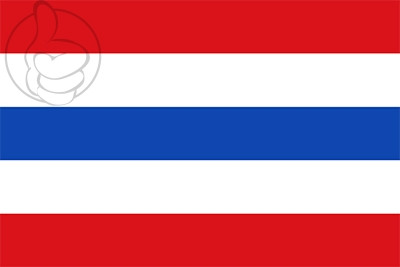 Bandera El Picazo