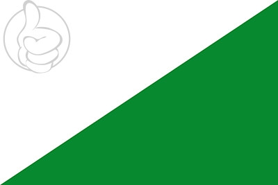 Bandera Las Pedroñeras