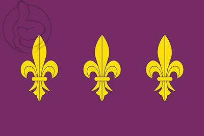 Bandera Los Gallardos