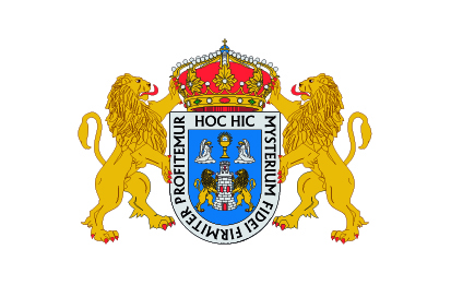 Bandera Lugo