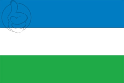 Bandera El Espinar