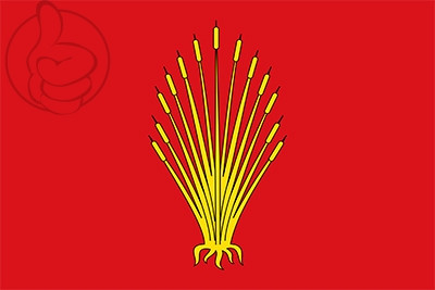 Bandera Xilxes
