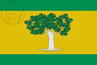 Bandera Higueras