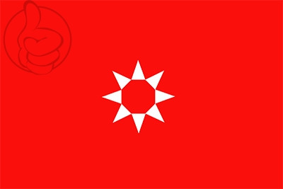 Bandera Rivas Vaciamadrid