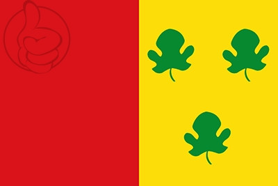 Bandera Aldeanueva de Figueroa