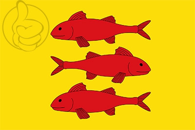 Bandera Vallmoll