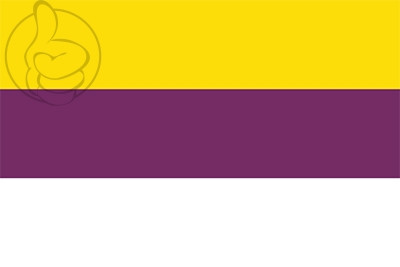 Bandera Viñols y Archs