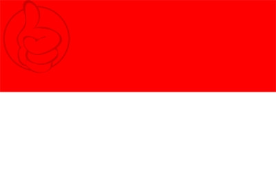 Bandera Navamorales