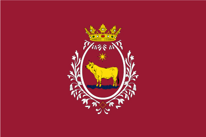 Bandera Teruel