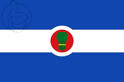 Bandera Bagüés
