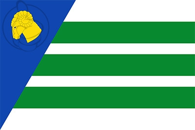 Bandera El Buste