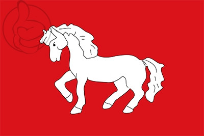 Bandera Sant Martí Sesgueioles