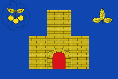 Bandera La Vilueña