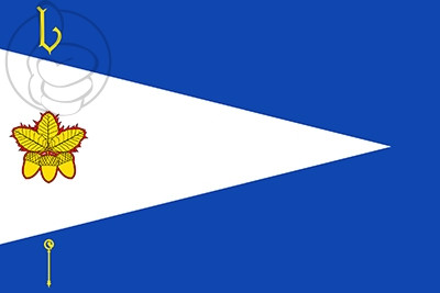 Bandera Vera de Moncayo