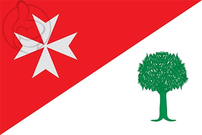 Bandera Binaced