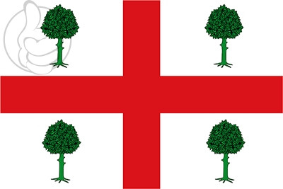 Bandera Navalacruz