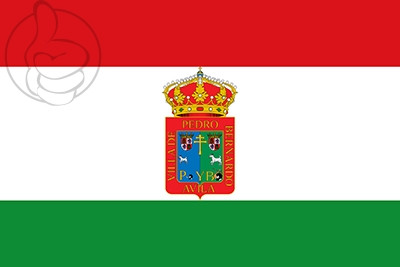 Bandera Pedro Bernardo