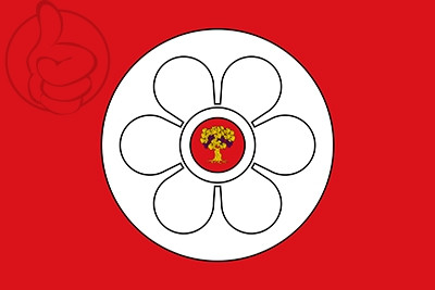 Bandera Salas Altas