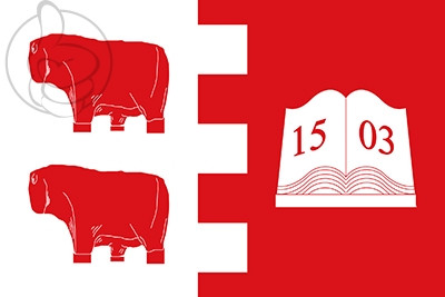 Bandera Villatoro