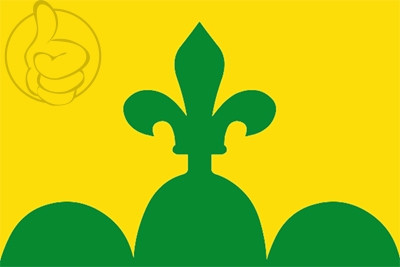Bandera Bellpuig