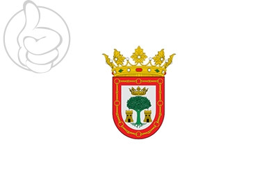 Bandera Olite