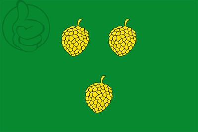 Bandera Pinell de Solsonès