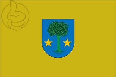 Bandera Allín