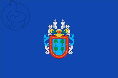 Bandera Barañáin