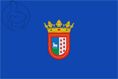 Bandera Berriozar