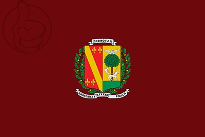Bandera Amorebieta-Etxano