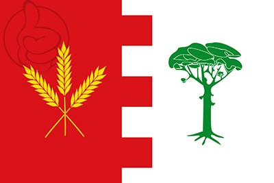 Bandera Ataquines