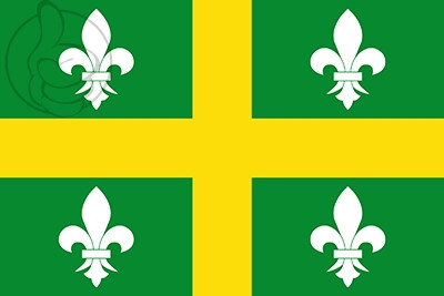 Bandera Derio
