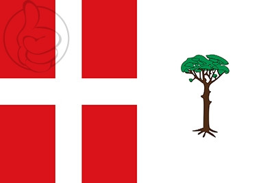 Bandera Espeja de San Marcelino