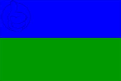 Bandera Bareyo