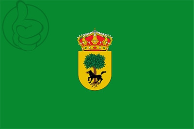 Bandera Vinuesa