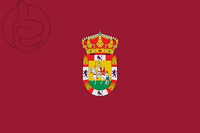 Bandera Sahagún