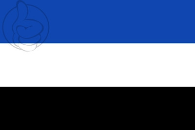 Bandera Encinedo