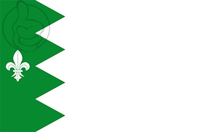 Bandera Puebla de Lillo