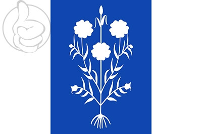 Bandera Sancedo
