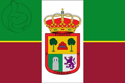 Bandera Fuentes de Carbajal