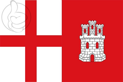Bandera Villaornate y Castro