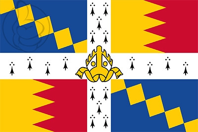 Bandera Birmingham metropolitana