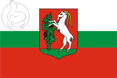 Bandera Lublin