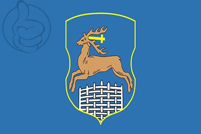 Bandera Grodno