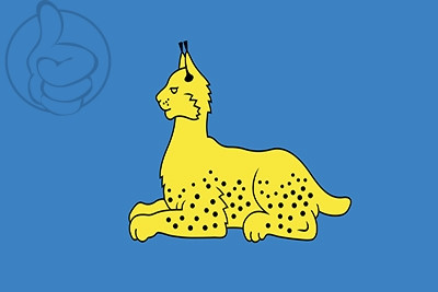 Bandera Gómel