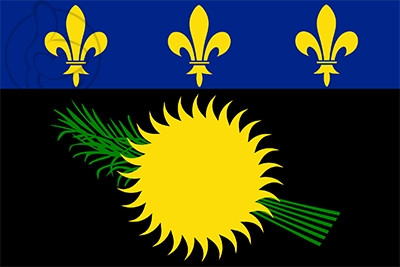 Bandera Guadalupe